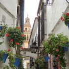 Calleja de las Flores in Córdoba