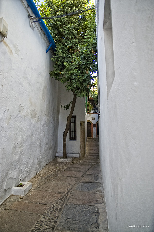 Calleja del Pañuelo