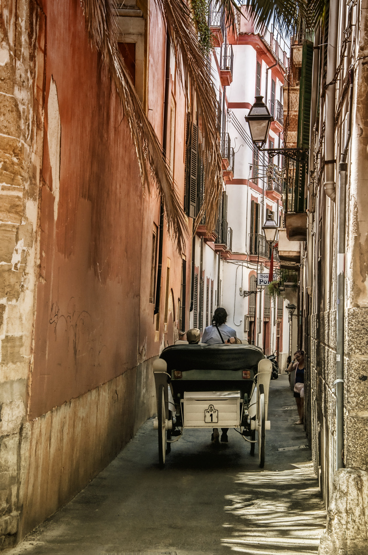 Callejeando por Palma