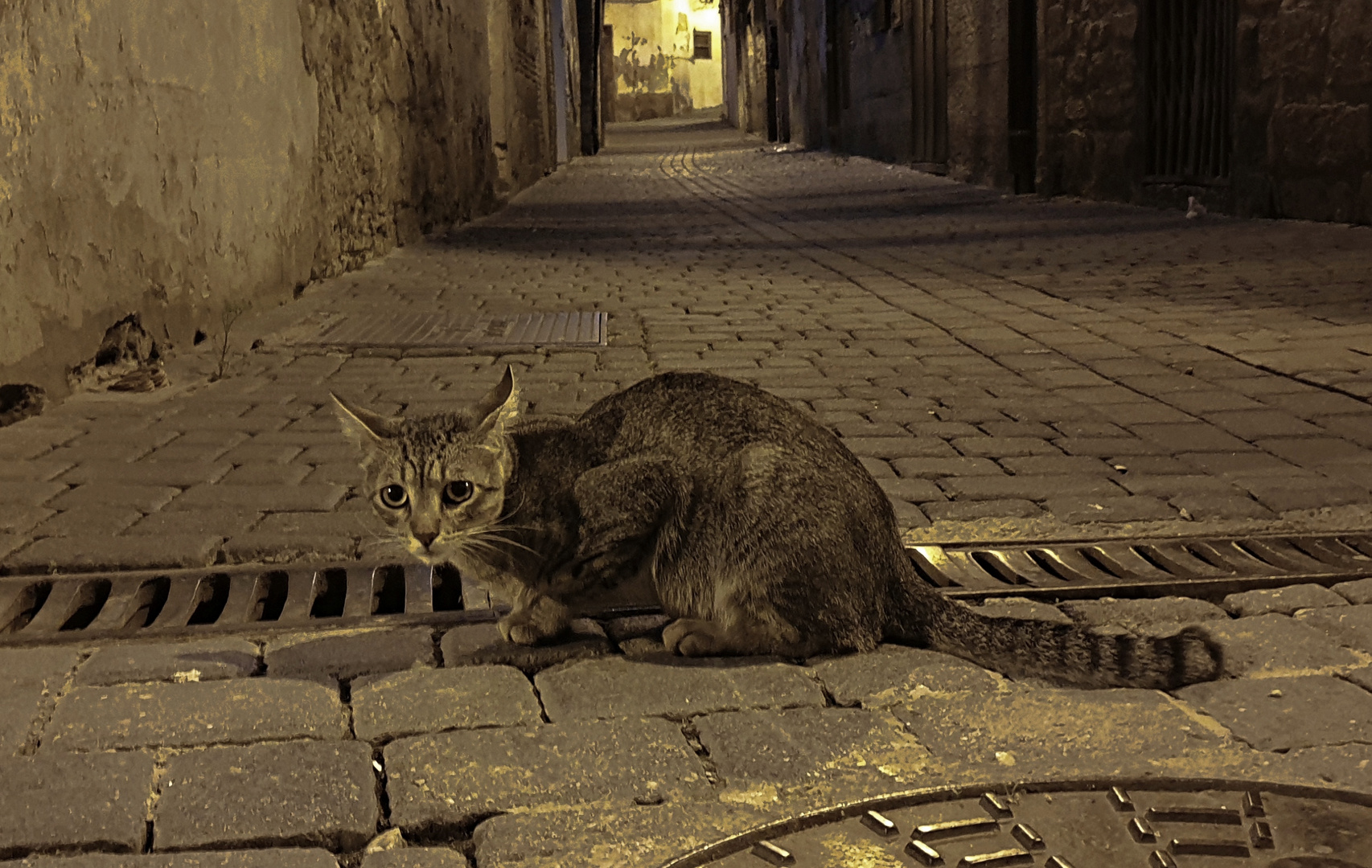 Callejero en la noche.