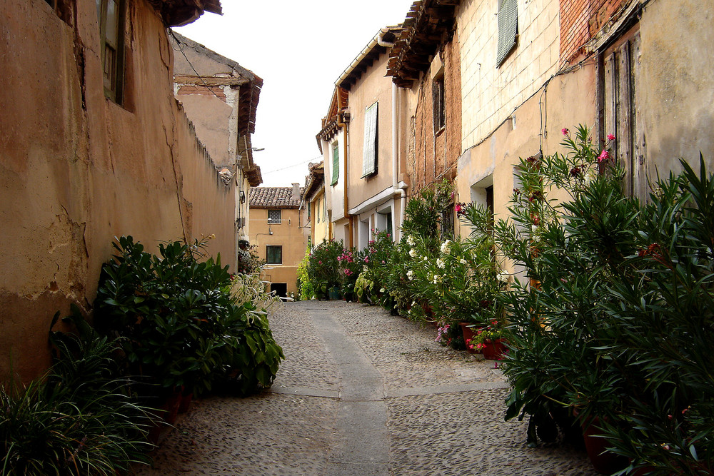 Callejón animado