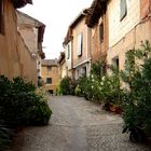 Callejón animado