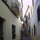 callejuela de cordoba