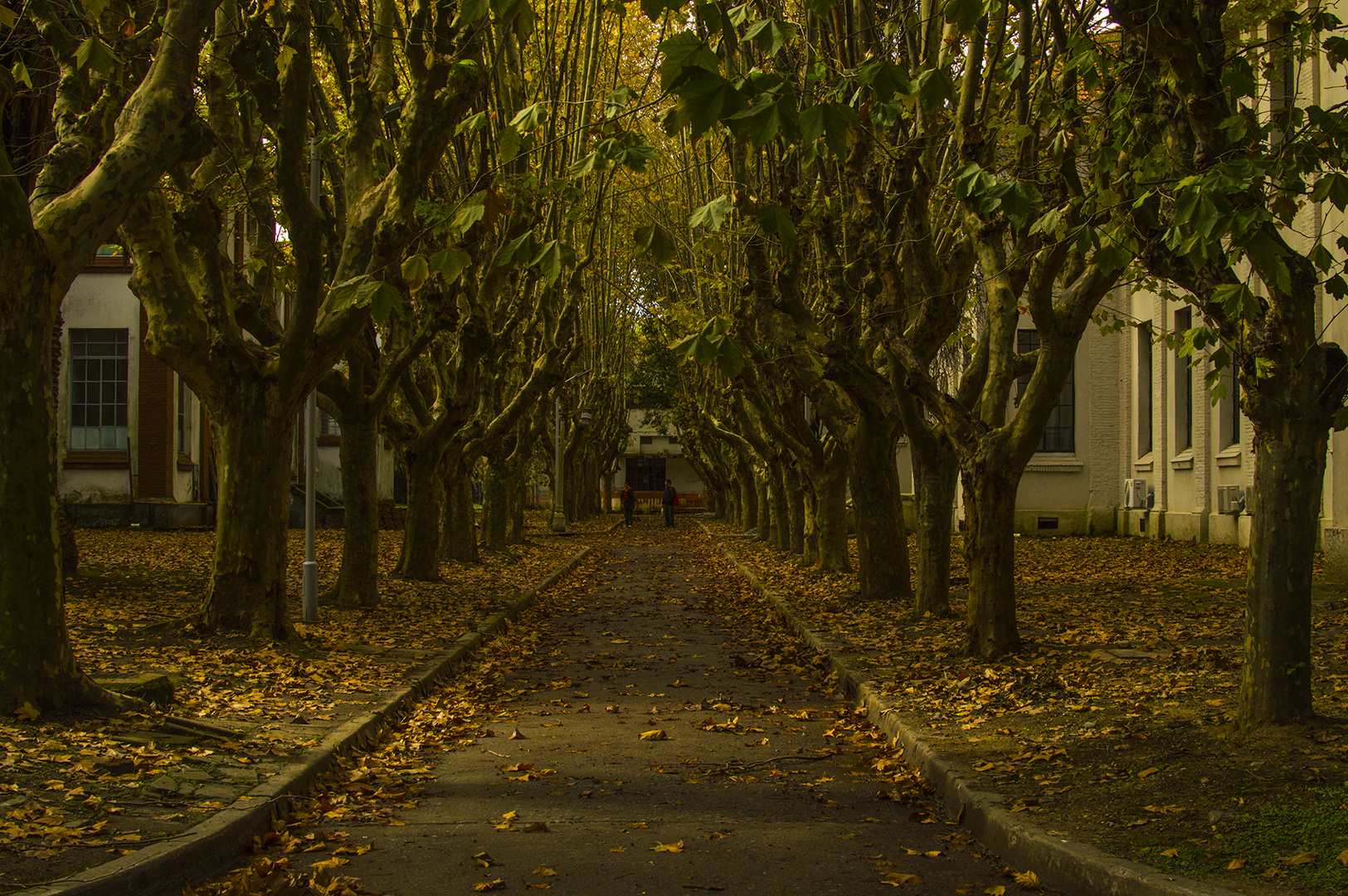 Calles de la ESMA