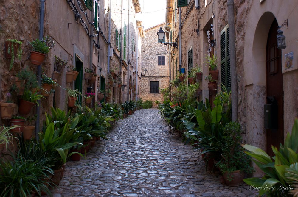 ...Calles de Valdemosa...