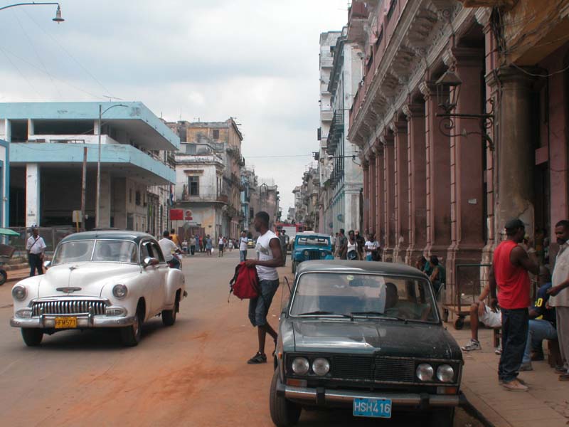 Callohueso-Habana