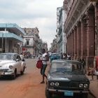 Callohueso-Habana