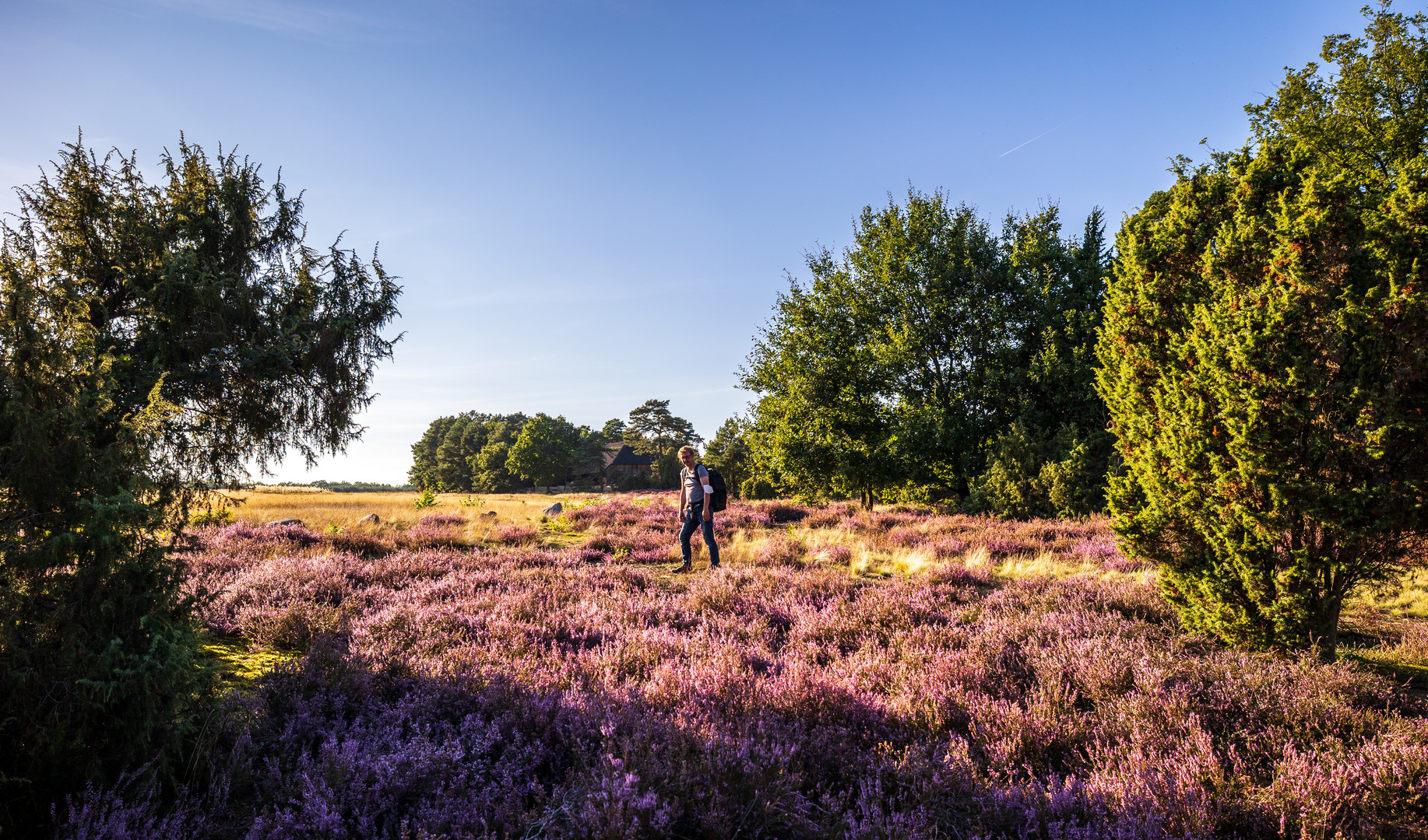 Calluna  mit Dirk 