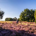 Calluna  mit Dirk 