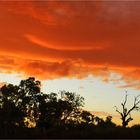 ** Calm after a heavy Storm / at the De Gray River **