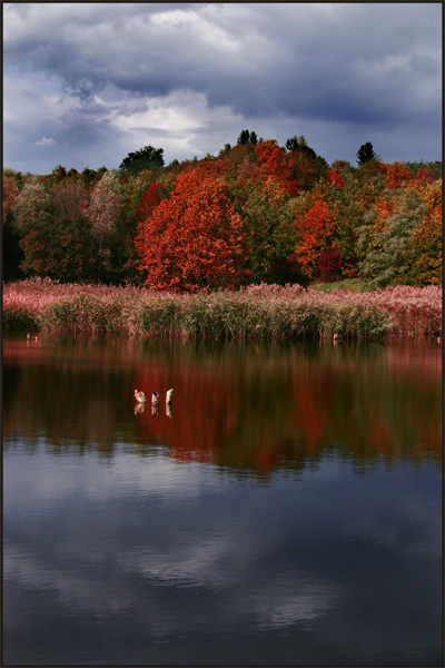 Calm of the lake