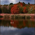 Calm of the lake