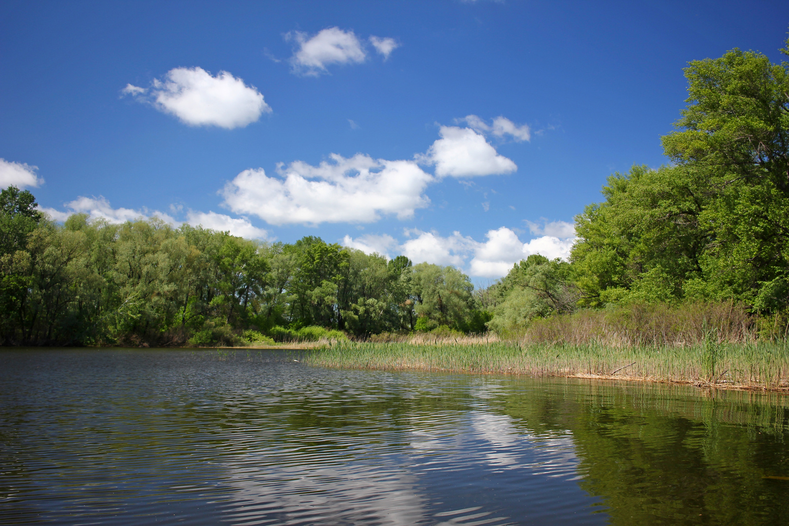 Calm on river