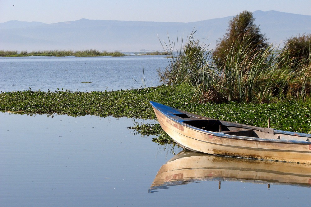 Calm Waters of Lake Chapala