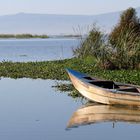 Calm Waters of Lake Chapala