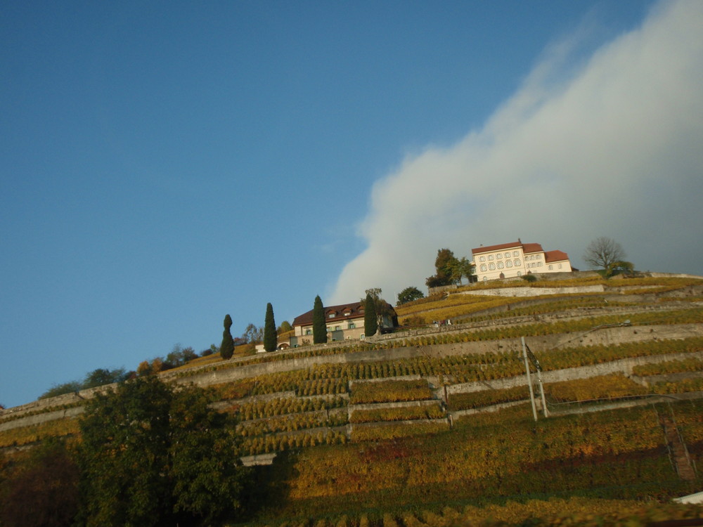 calme avant la tempête