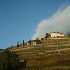 calme avant la tempête