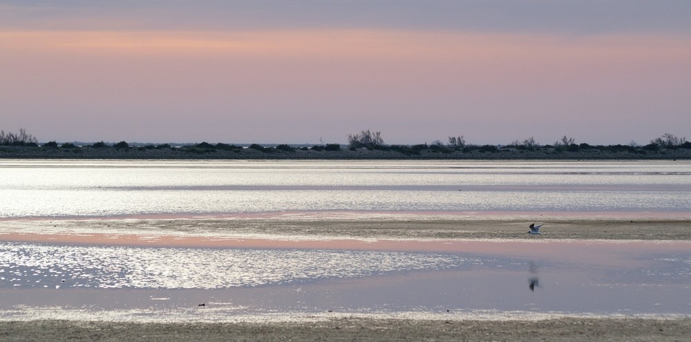 Calme du couchant sur le Vaccarès de Alain Germain 