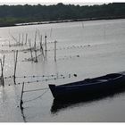 Calme Et Sérénité ...