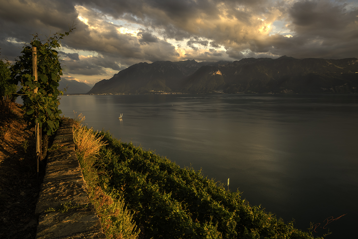 Calme et sérénité du Léman