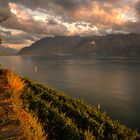 Calme et sérénité du Léman