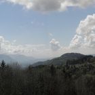 Calme et sérénité sur St Aupres - Isère