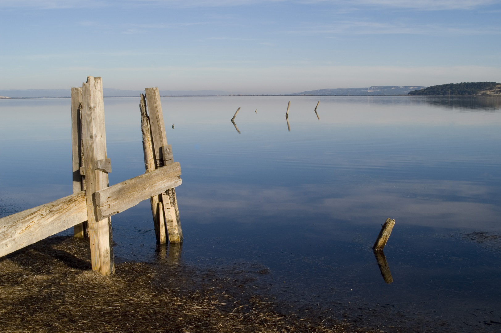 Calme et silence à l'étang de Bages (11)