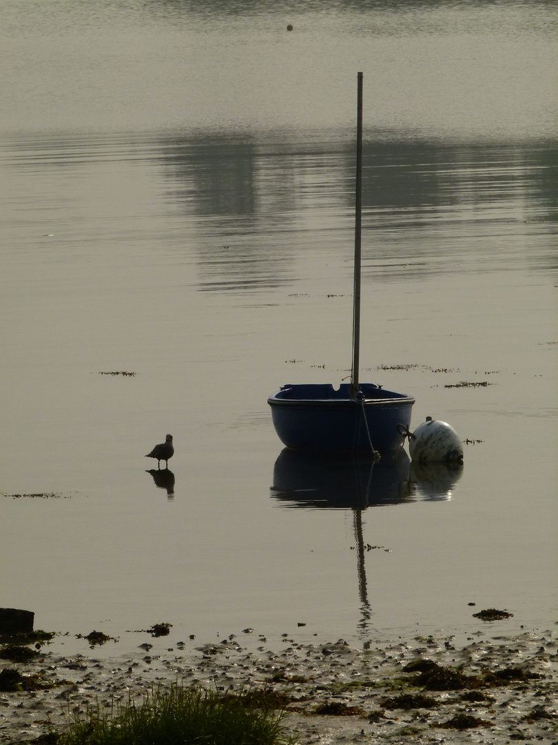 calme matin en bord de mer