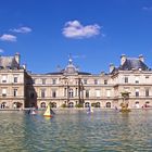 Calme plats au Sénat.