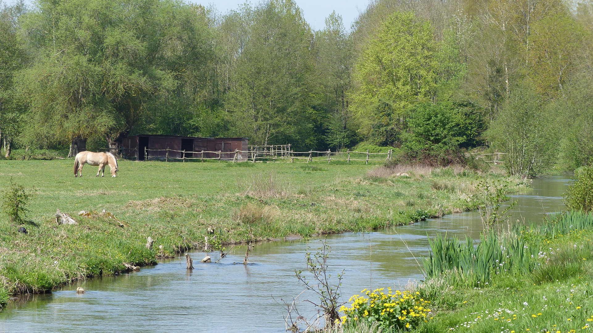 Calmitude du printemps