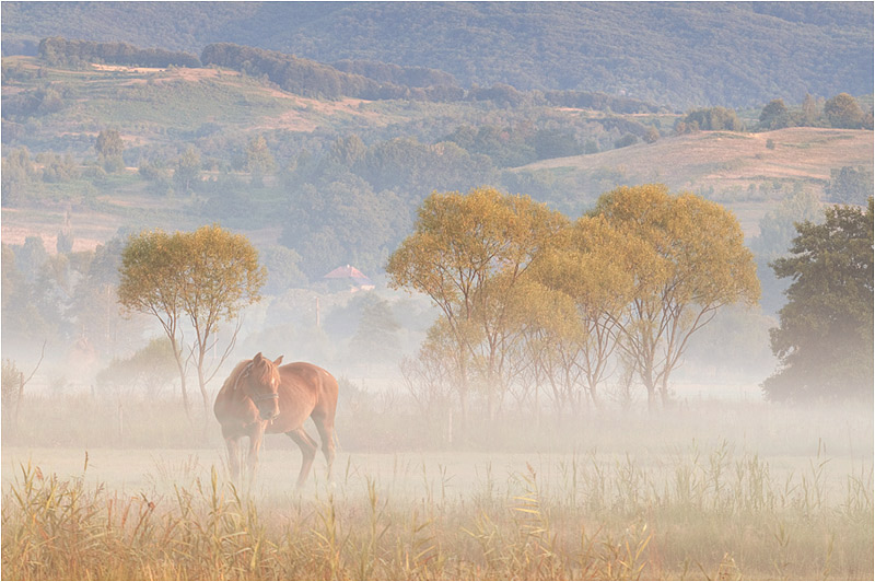 Calmness (2)