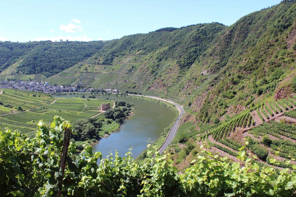 Calmont Foto & Bild deutschland, europe, rheinlandpfalz Bilder auf