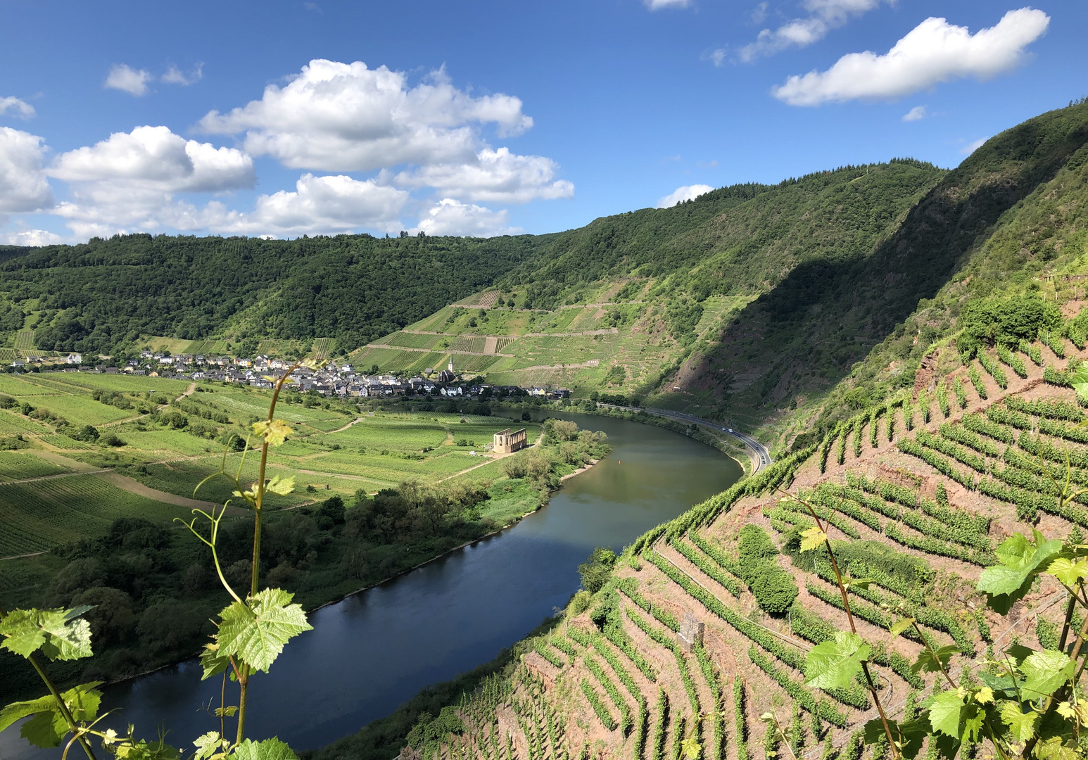 Calmont. Am steilsten Weinberg Europas.