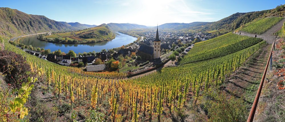 Calmont - die steilste Weinlage