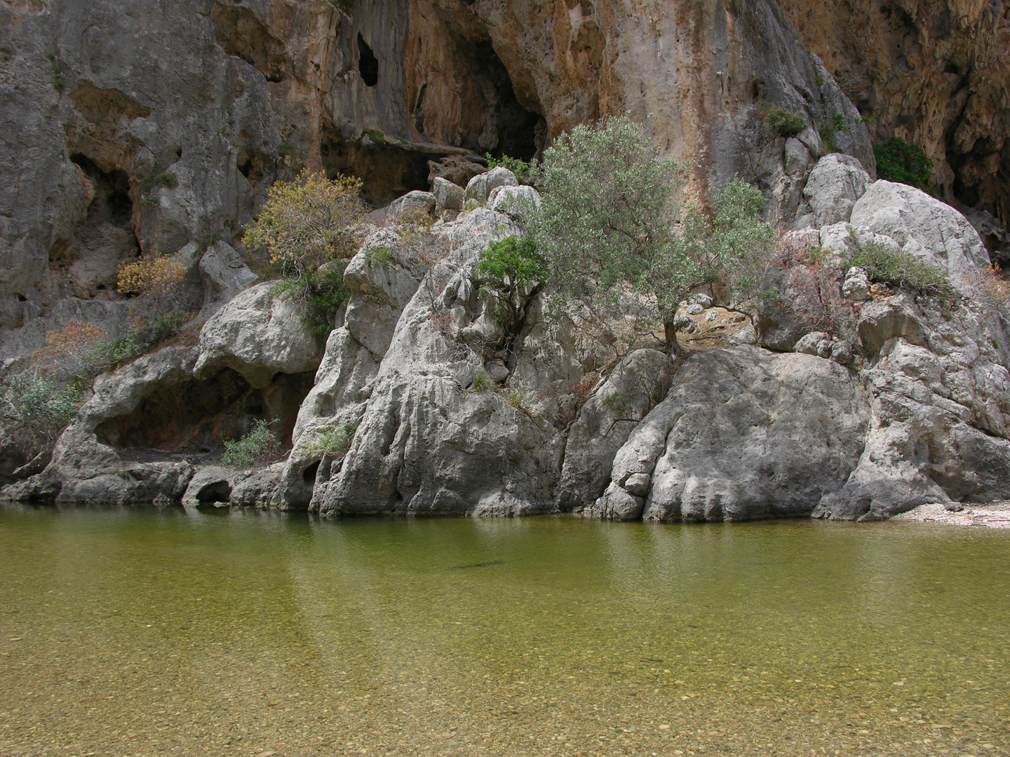 Calobra (2)