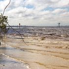 Caloosahatchee River, Fort Meyers, Florida