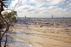 Caloosahatchee River, Fort Meyers, Florida