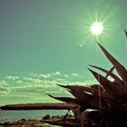 calor tras la tormenta