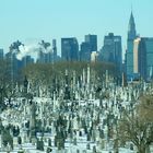 Calvary Cemetary, Queens, NYC