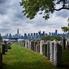 Calvary Cemetery - New York