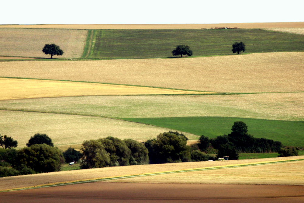 Calvendo Sommer