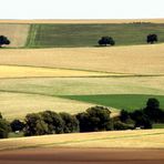 Sommerliche Landschaft