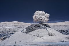 Calverbühl [IR]