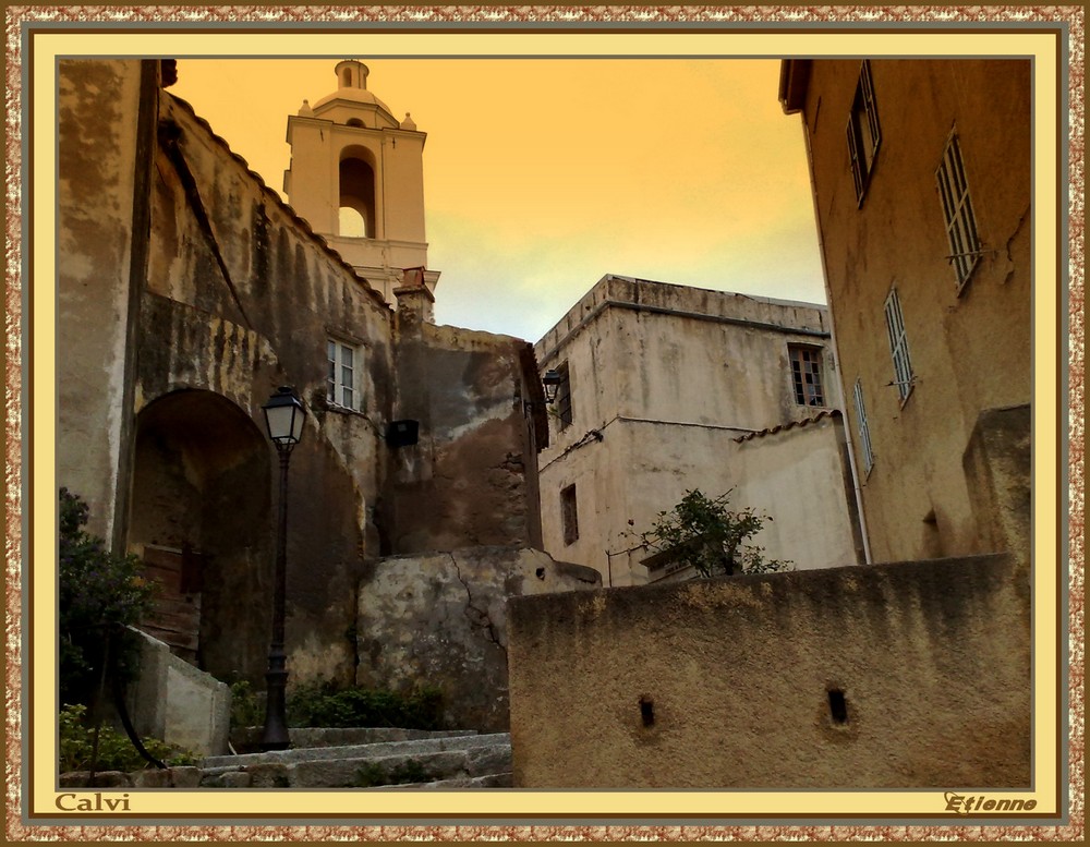 Calvi