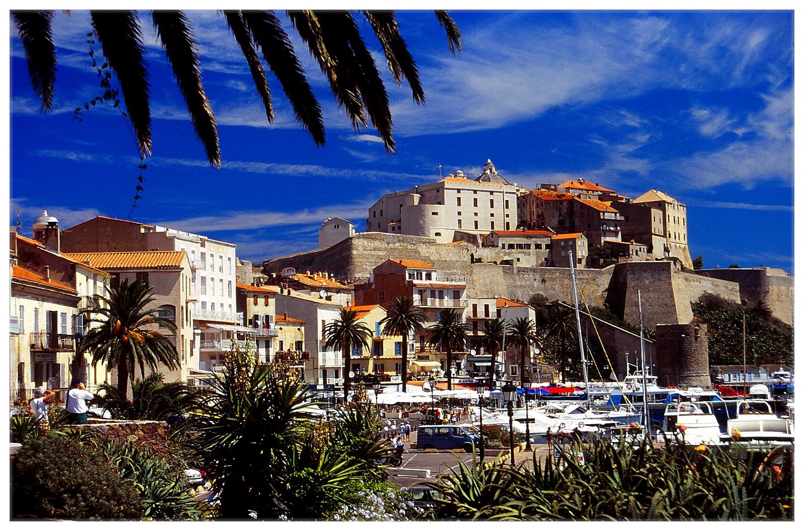 Calvi