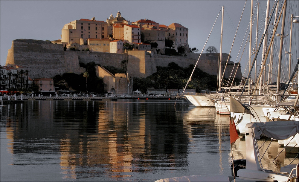 CALVI