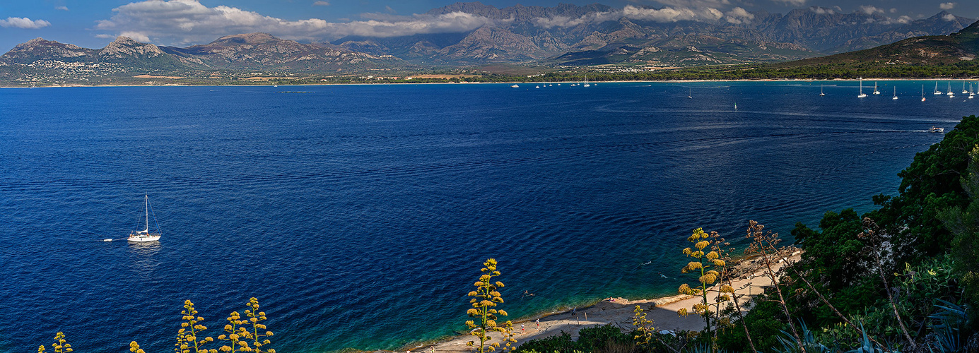 Calvi