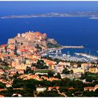 Calvi