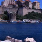 Calvi