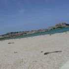 Calvi